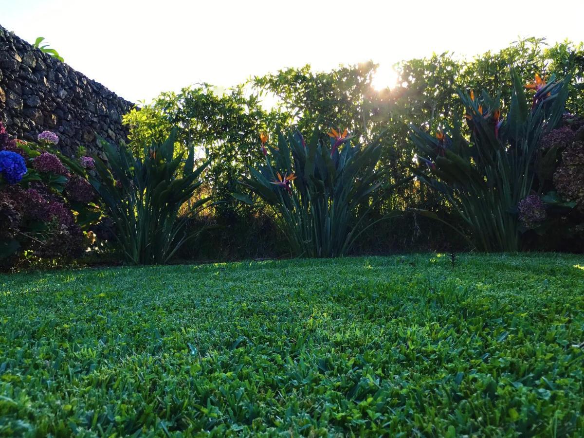 Surf Beach_Santa Barbara Secret Gardens Ribeira Grande Buitenkant foto